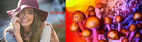 кокс Алзамай