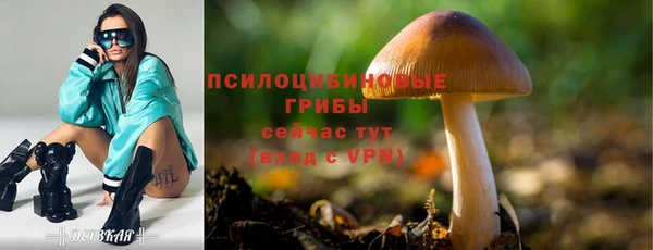 спиды Алексеевка