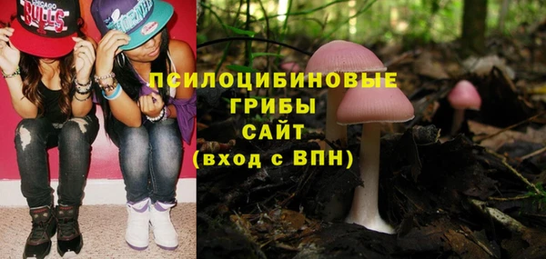 спиды Алексеевка