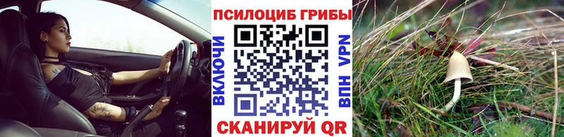 Галлюциногенные грибы Psilocybine cubensis  Нолинск 